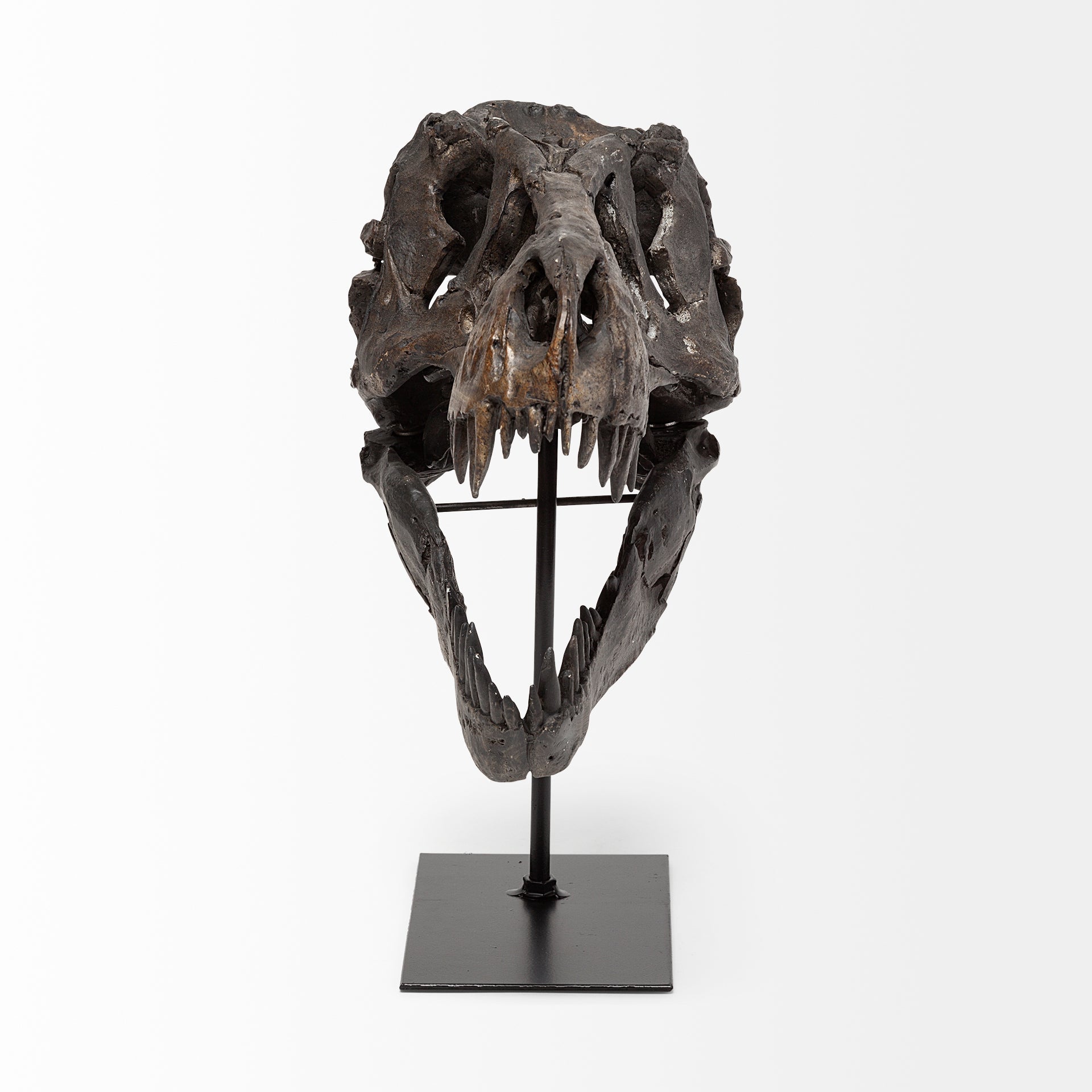 Mercana Jurassic 6" x 9.8" x 11.8" Resin Decorative Object