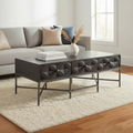 Mercana Hogarth 48" x 26" x 18" Metal Coffee Table