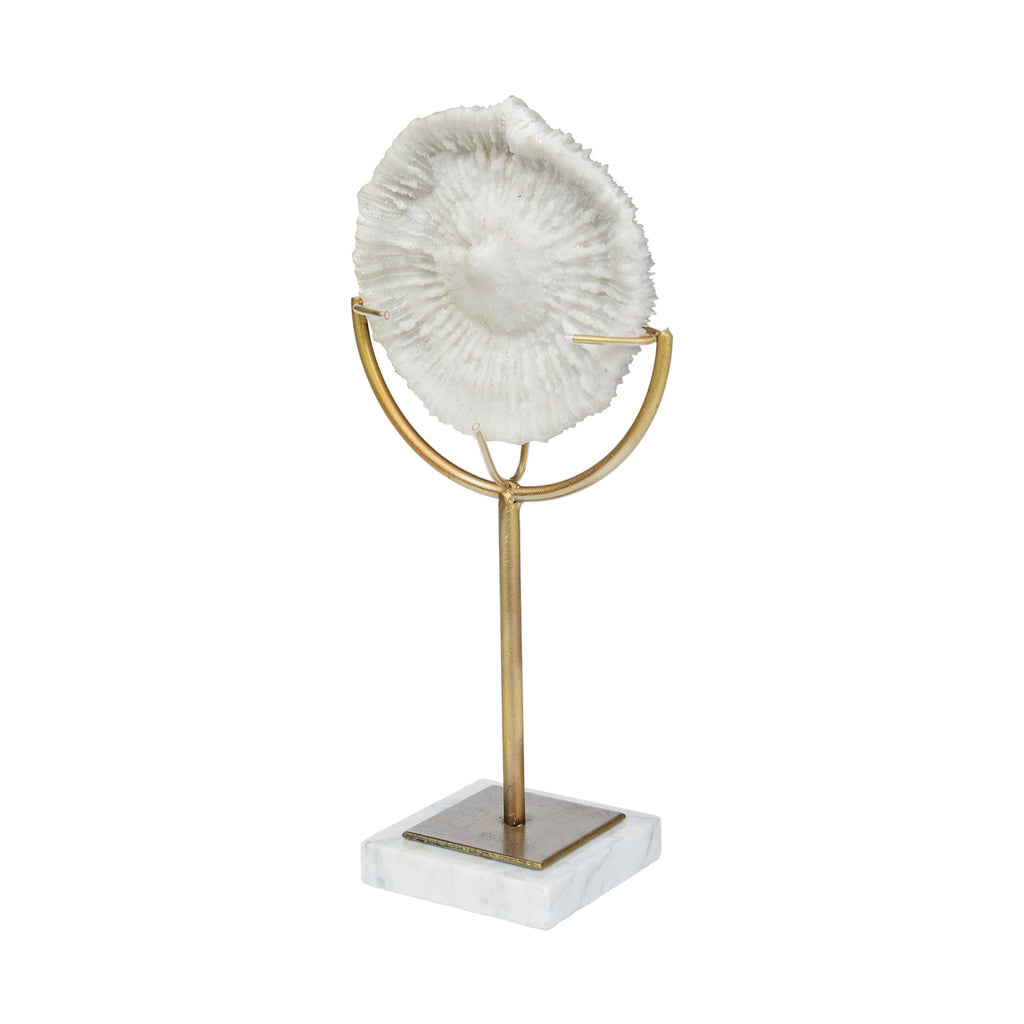 Mercana Sandy 8.1" x 3.9" x 15.2" Resin Decorative Object