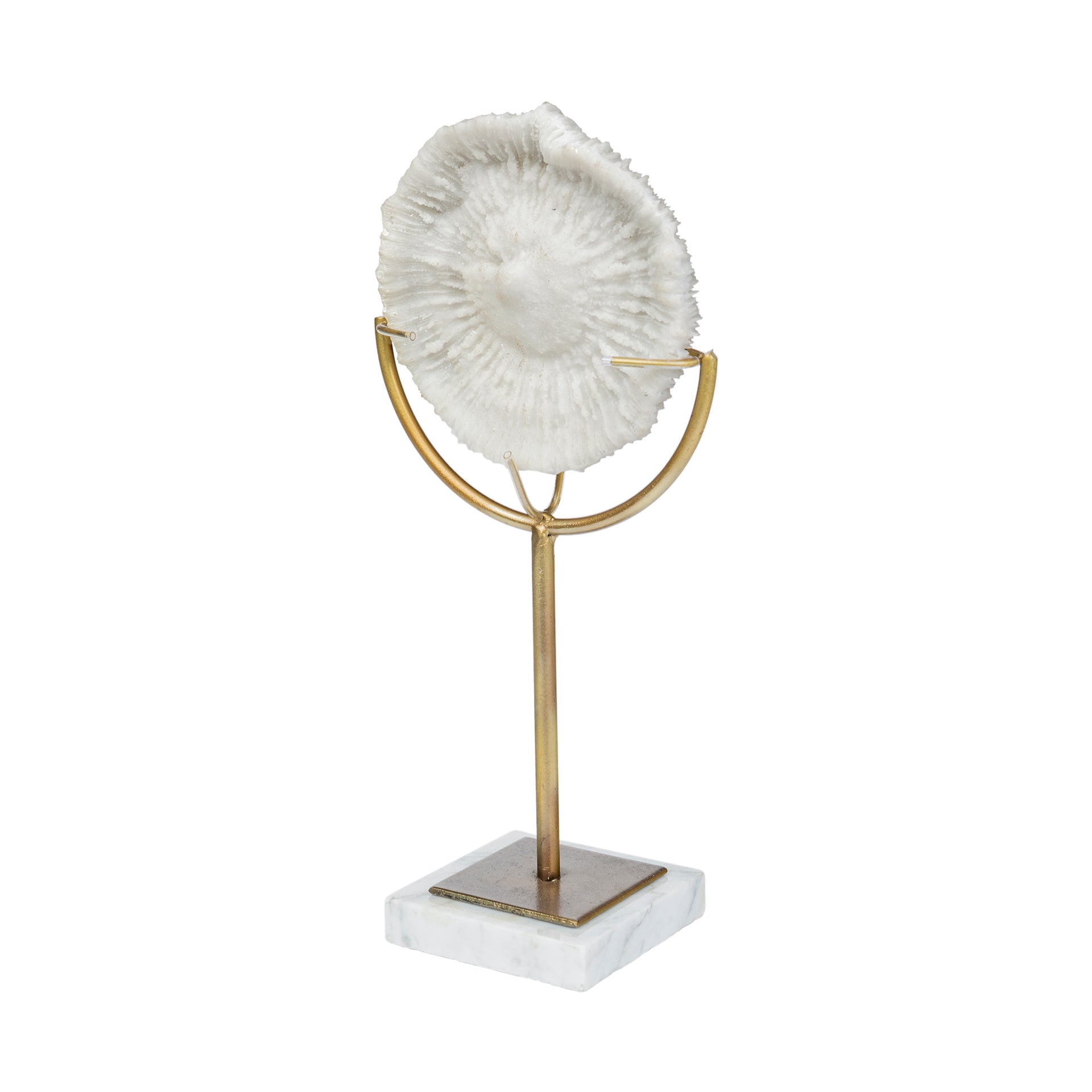 Mercana Sandy 8.1" x 3.9" x 15.2" Resin Decorative Object