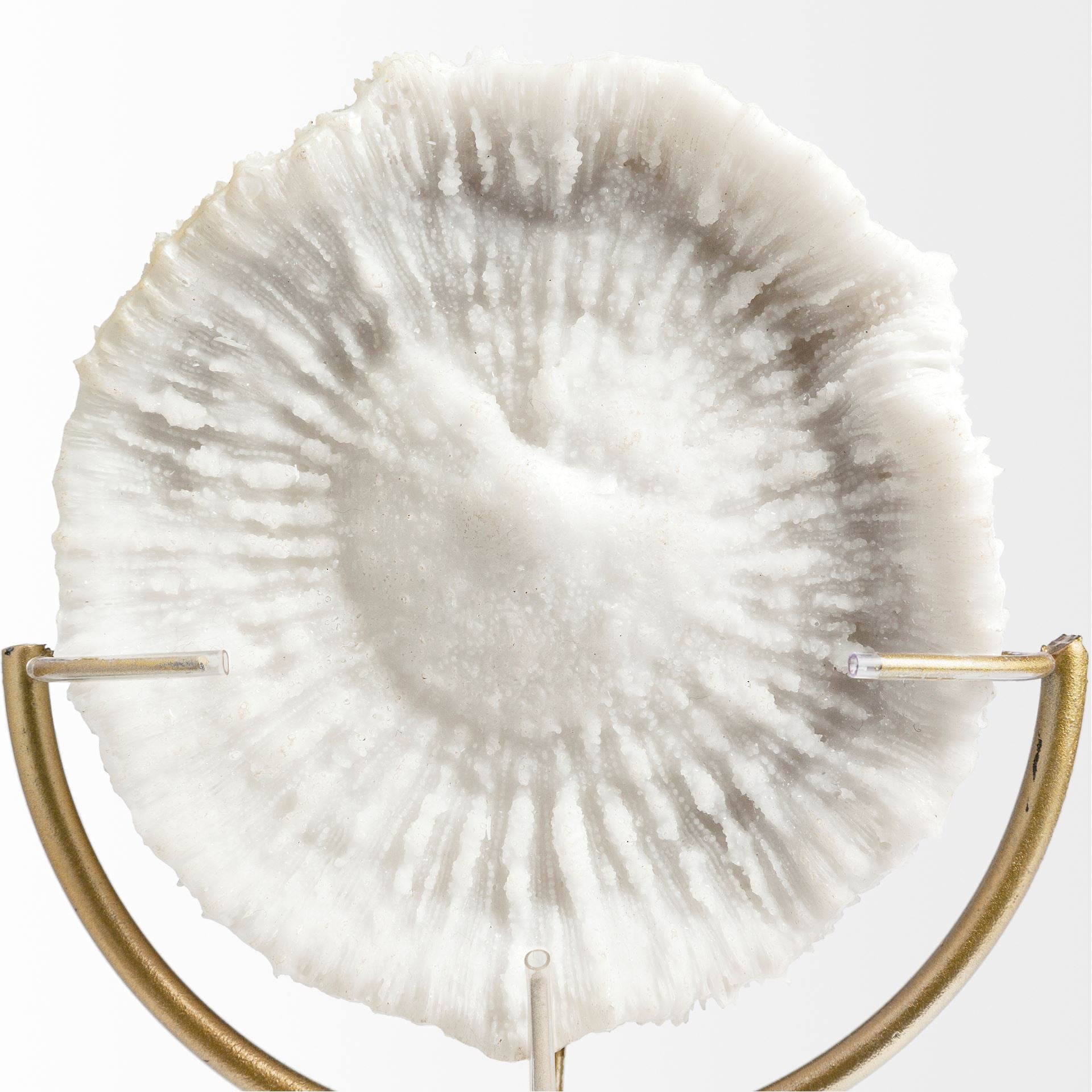 Mercana Sandy 8.1" x 3.9" x 15.2" Resin Decorative Object
