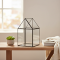 Mercana Sikes 10" x 10" x 16.1" Glass Box