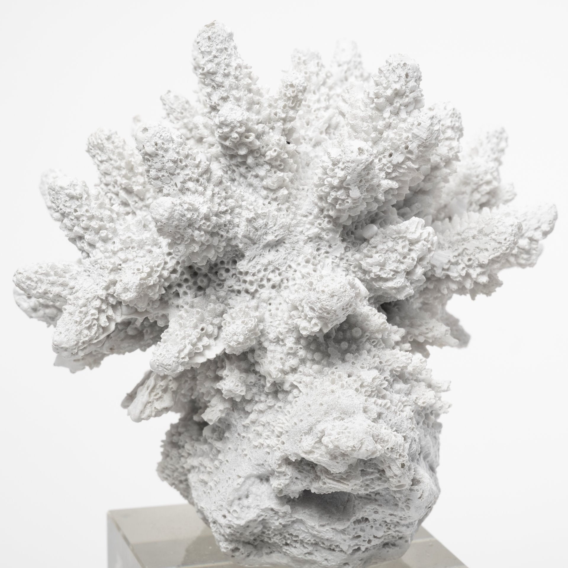 Mercana Isla 4.7" x 4.7" x 10.4" Resin Decorative Object