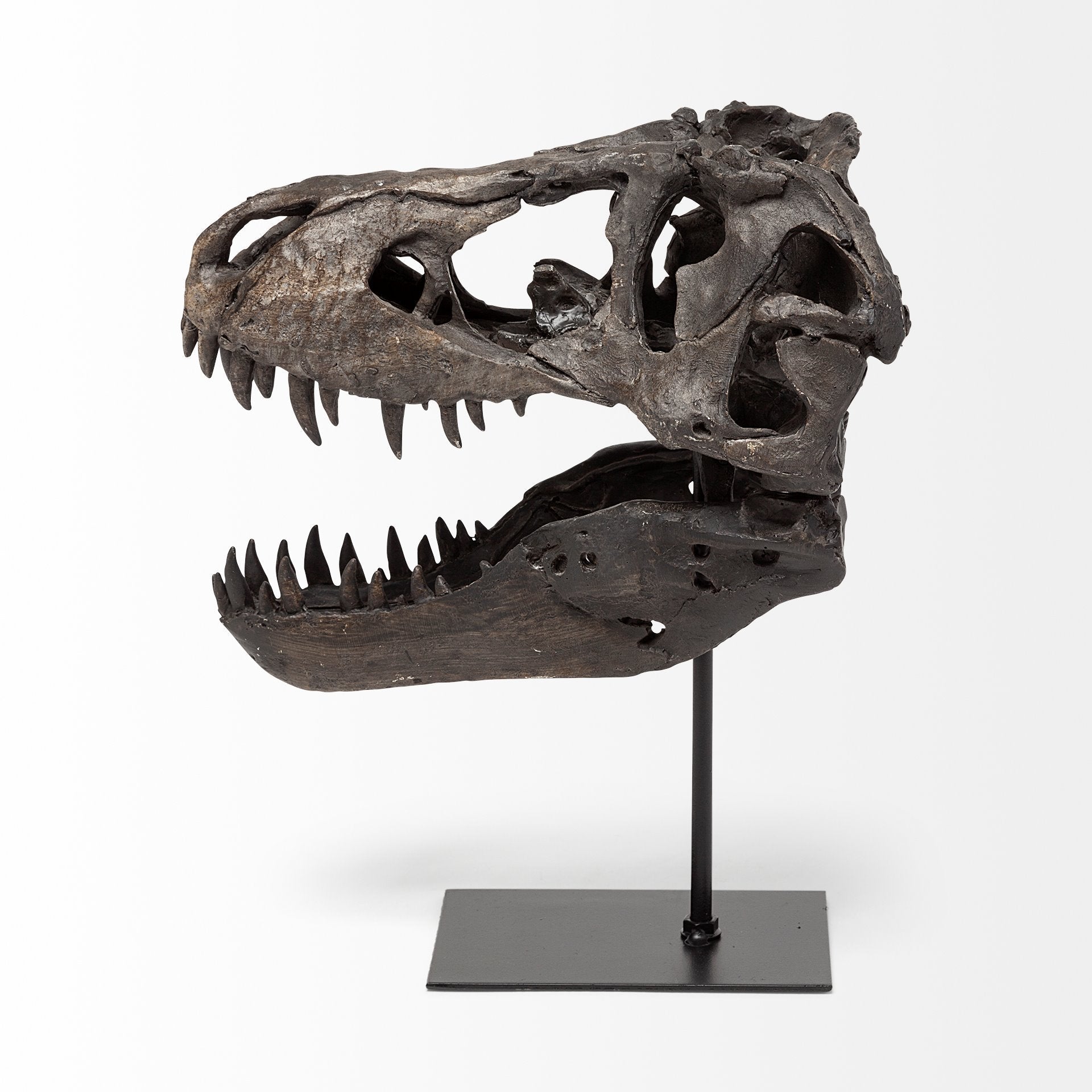 Mercana Jurassic 6" x 9.8" x 11.8" Resin Decorative Object