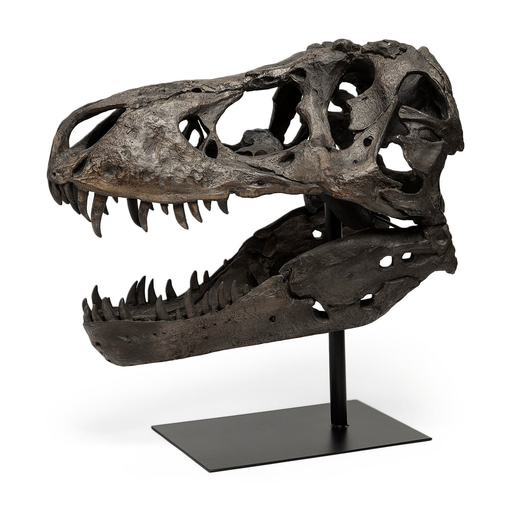 Mercana Jurassic 19" x 11" x 20" Resin Decorative Object