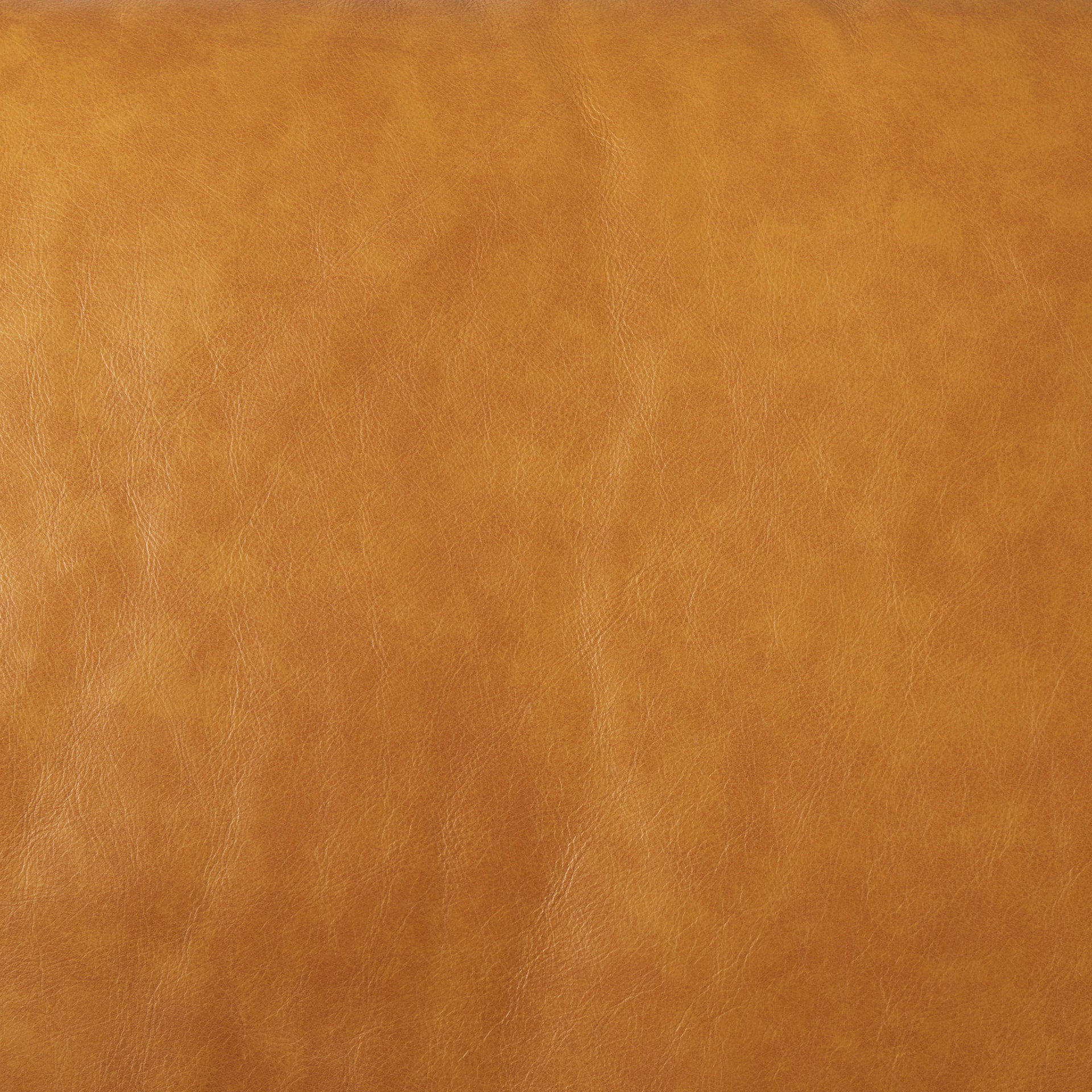 Mercana Svend 87.8" x 37.8" x 34.6" Genuine Leather Standard Sofa