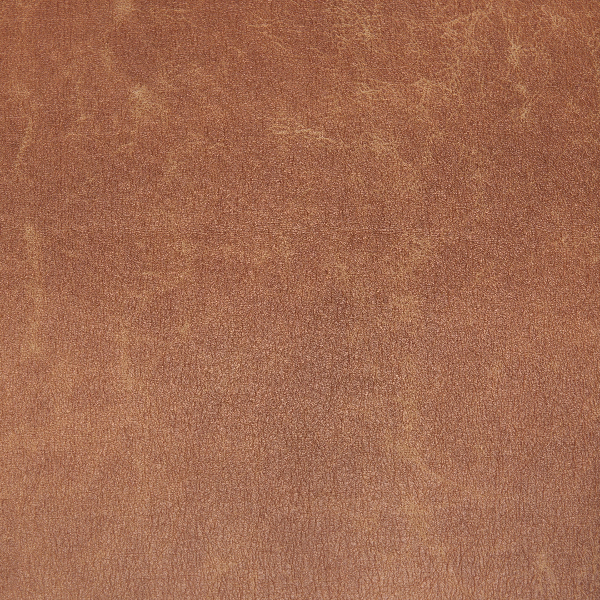 Mercana Raeleigh 28" x 34.1" x 34.4" Fabric Side Chair