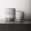 Mercana Squally 8" x 8" x 8.6" Ceramic Vase