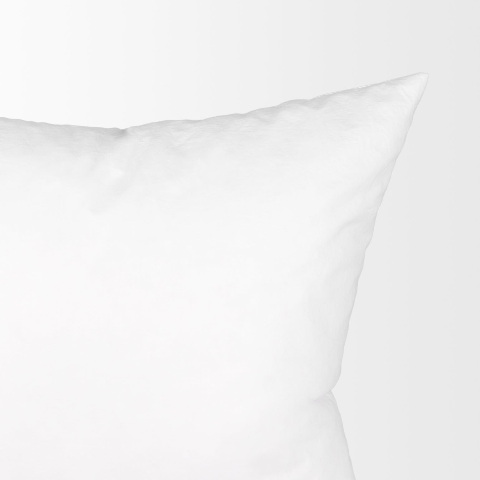 Mercana Down 24" x 1" x 24" Fabric Pillow Insert
