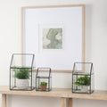 Mercana Sikes 7.9" x 7.9" x 13" Glass Box