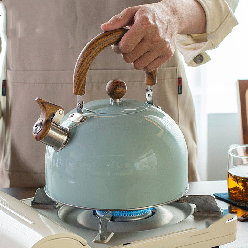 3L Stainless Steel Whistle Kettle – Folding Handle, Modern Dome Design