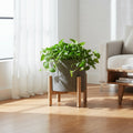 LH Home Patio Round Standing Pot
