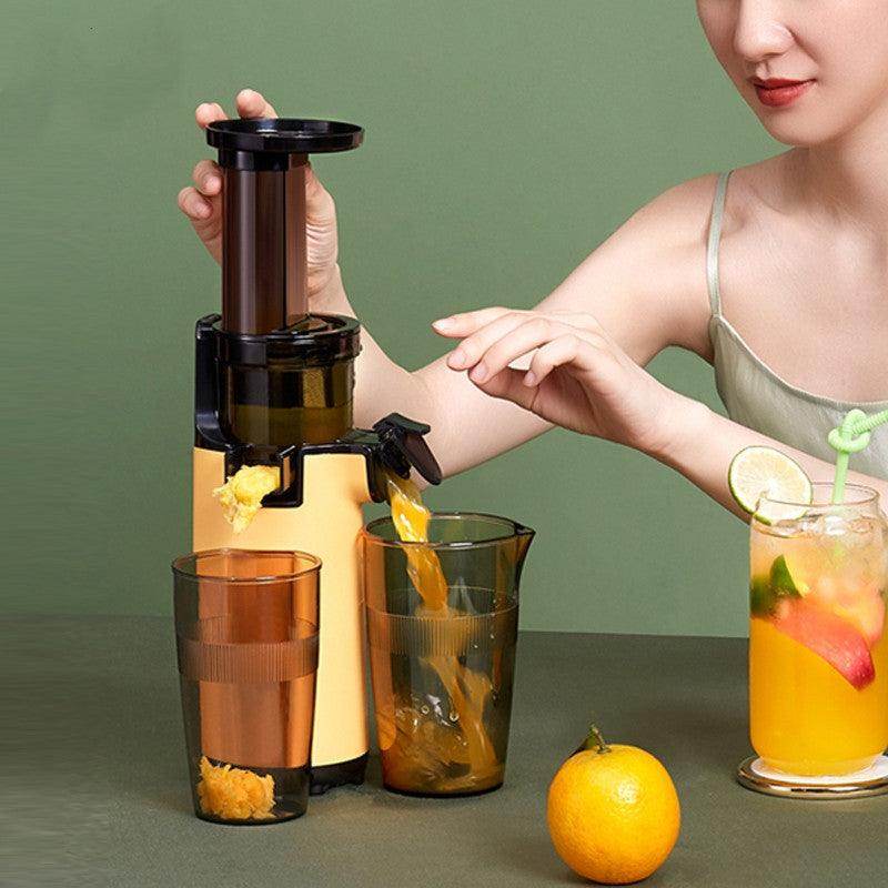Portable Multi-Function Juicer