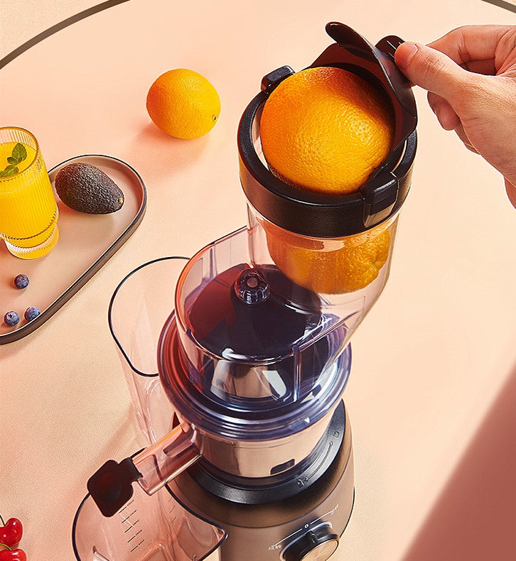 Vertical Slow Juicer with Pulp Separator – Cold Press Juice Extractor