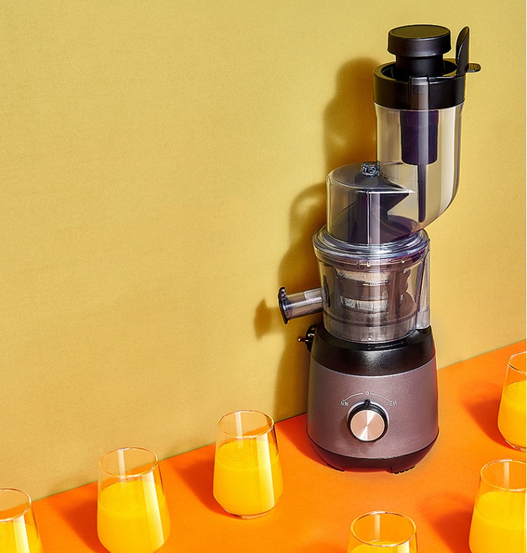 Vertical Slow Juicer with Pulp Separator – Cold Press Juice Extractor