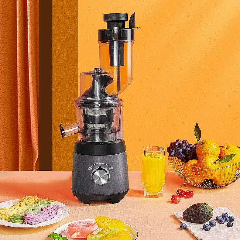 Vertical Slow Juicer with Pulp Separator – Cold Press Juice Extractor