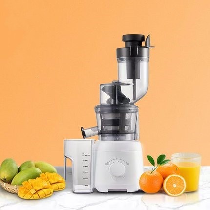 Vertical Slow Juicer with Pulp Separator – Cold Press Juice Extractor
