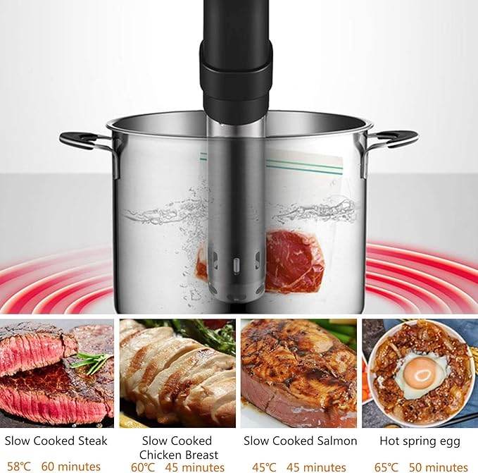 Sous Vide Immersion Circulator