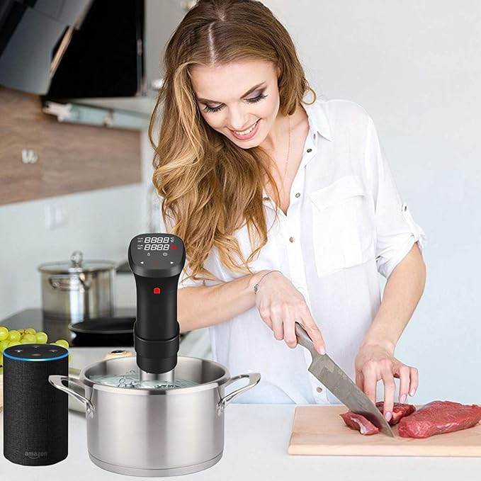 Sous Vide Immersion Circulator