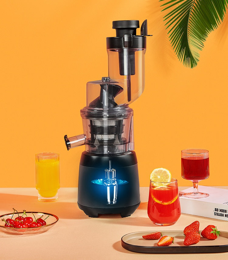 Vertical Slow Juicer with Pulp Separator – Cold Press Juice Extractor