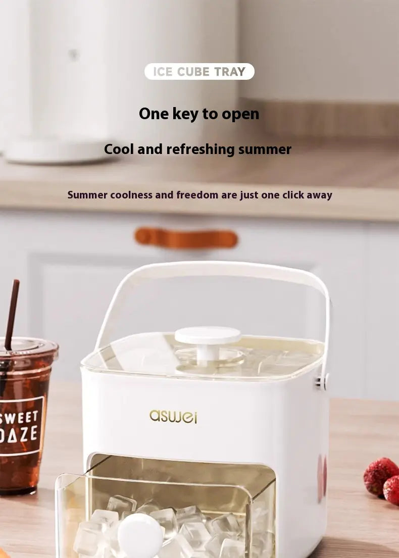 Large Capacity Ice Cube Mold with Storage