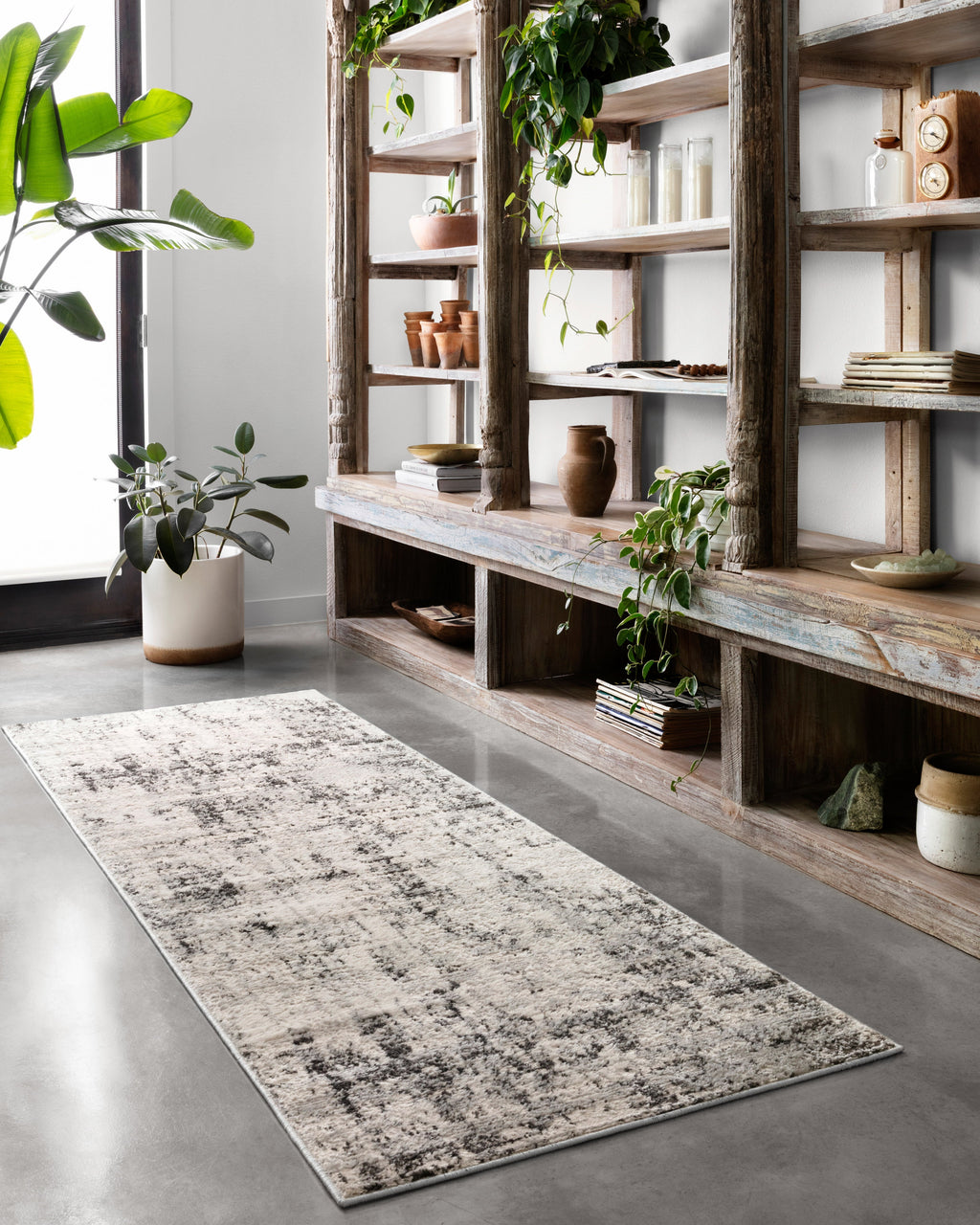 Loloi Alchemy Area Rug