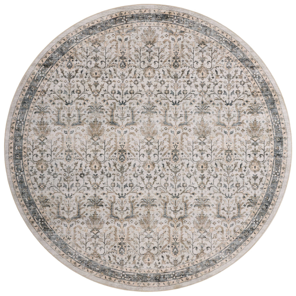 Loloi Anniston Accent Rug
