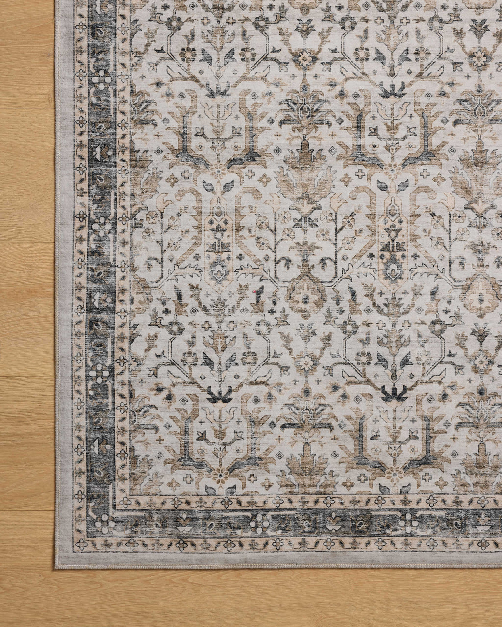 Loloi Anniston Area Rug