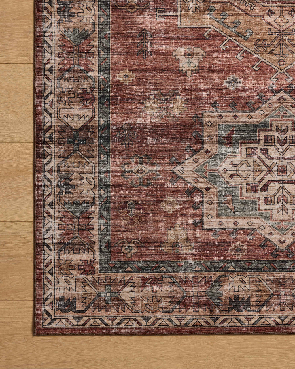 Loloi Anniston Area Rug