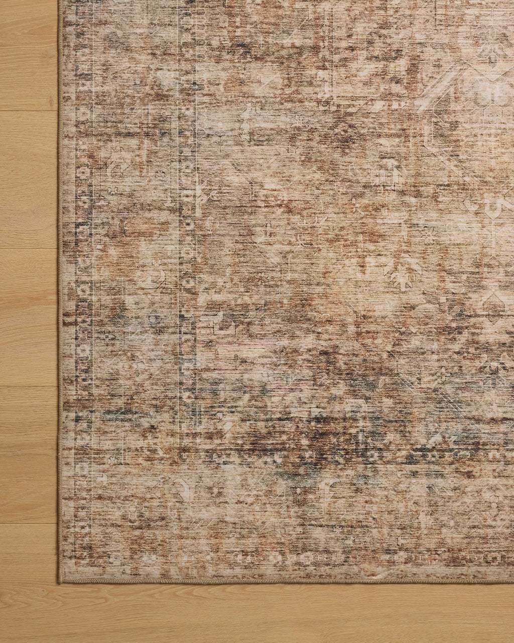 Loloi Anniston Runner Rug