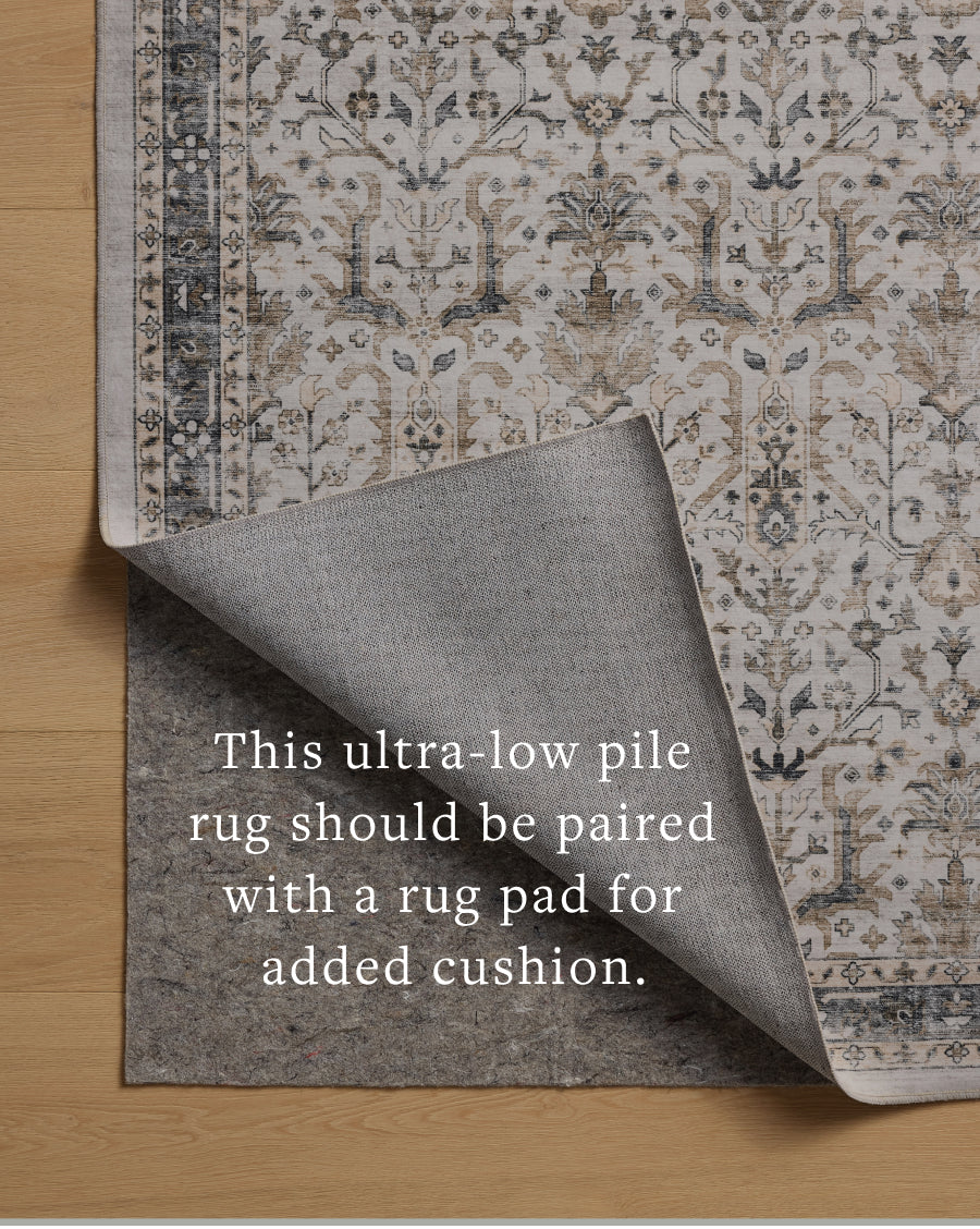 Loloi Anniston Area Rug