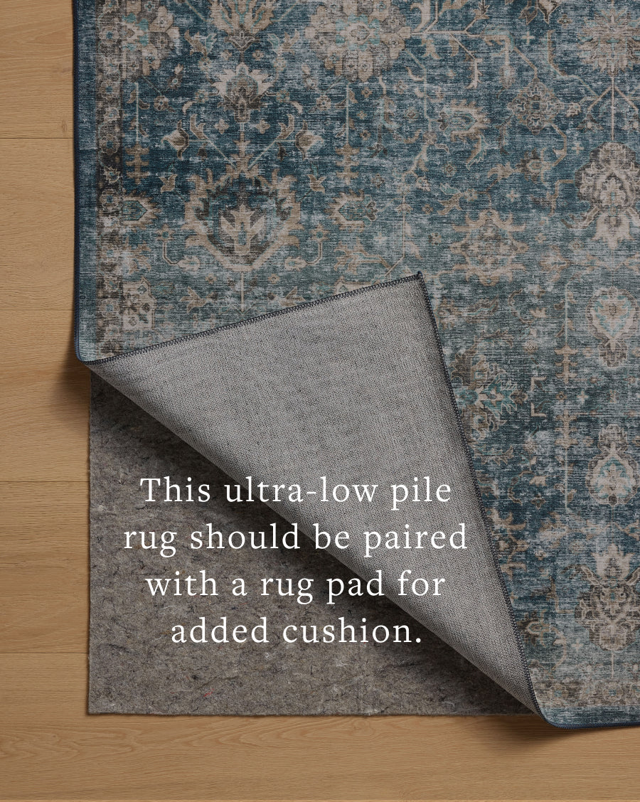 Loloi Anniston Area Rug