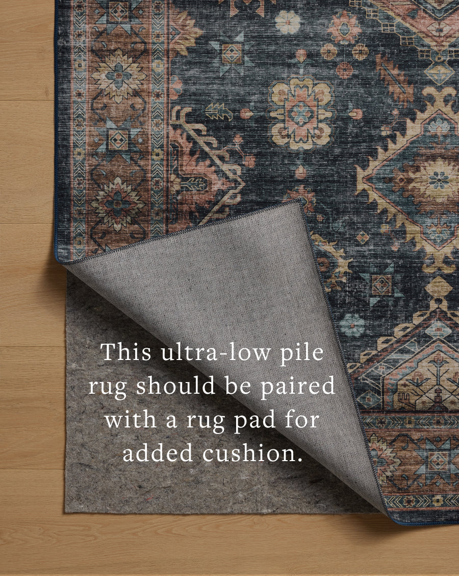 Loloi Anniston Area Rug