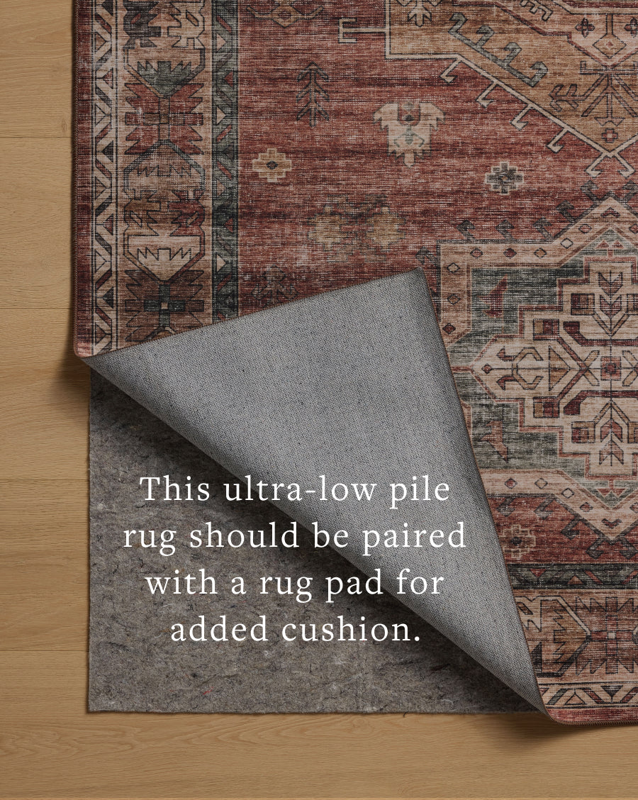 Loloi Anniston Area Rug