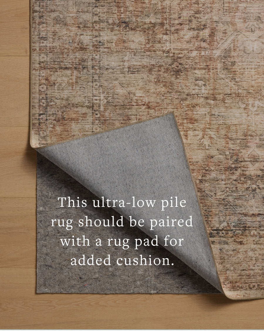 Loloi Anniston Area Rug