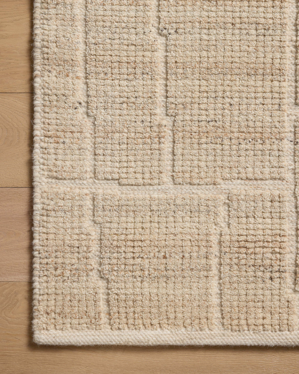 Loloi Asha Area Rug