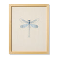 Loloi Dragonfly Blue Blue / Beige 1' x 1'-3" Wall Art