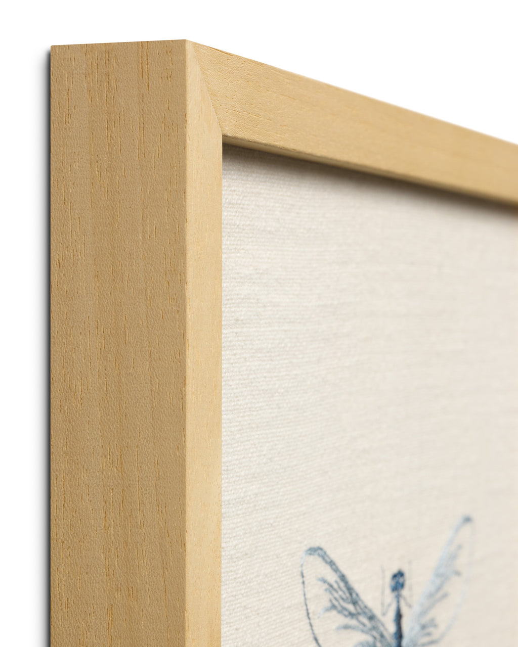 Loloi Dragonfly Blue Blue / Beige 1' x 1'-3" Wall Art