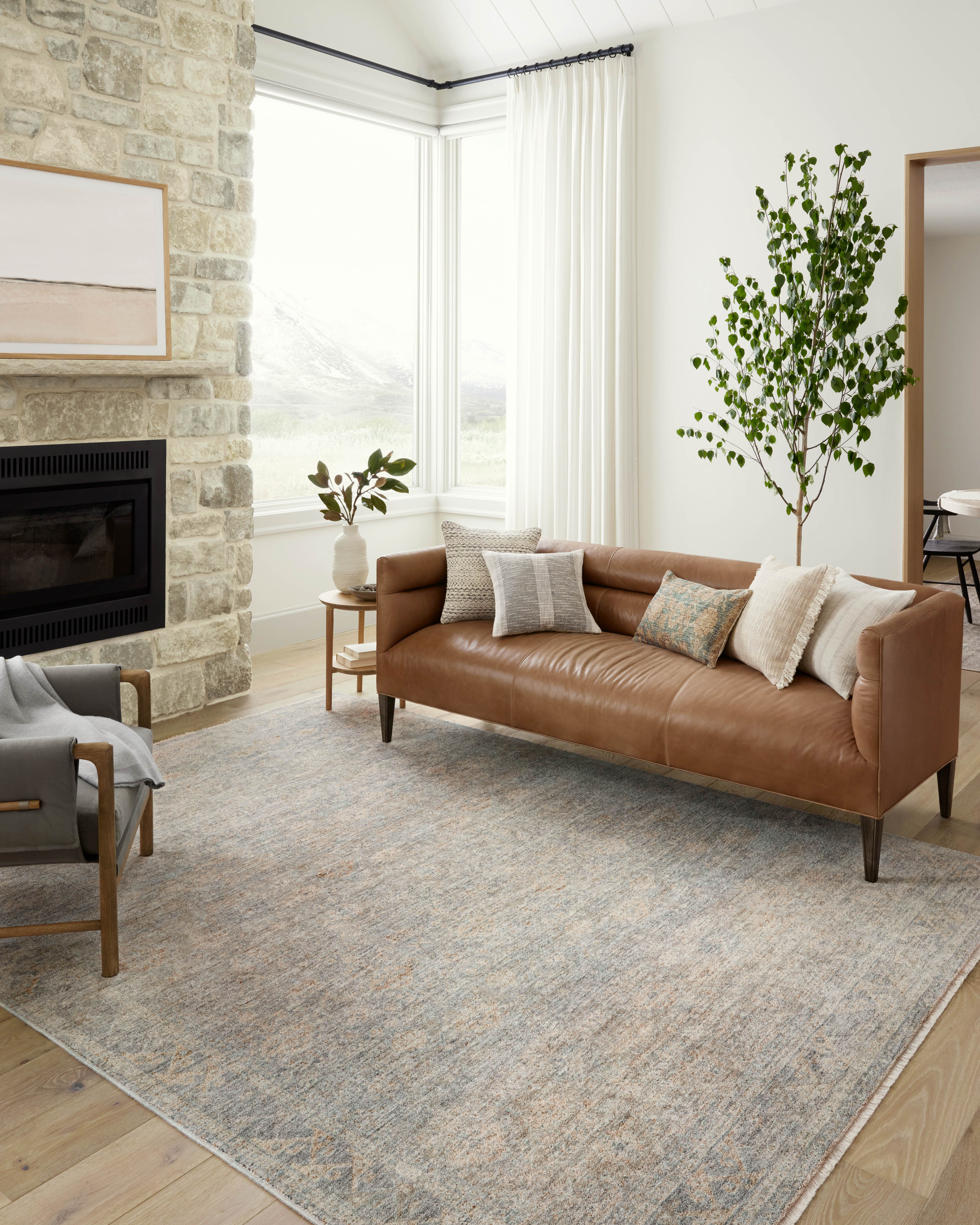 Angela Rose x Loloi Blake Area Rug