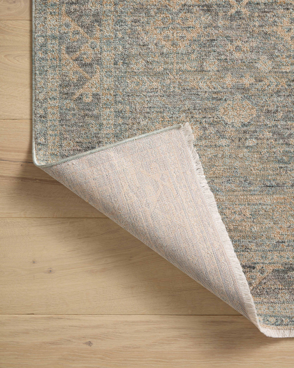 Angela Rose x Loloi Blake Area Rug