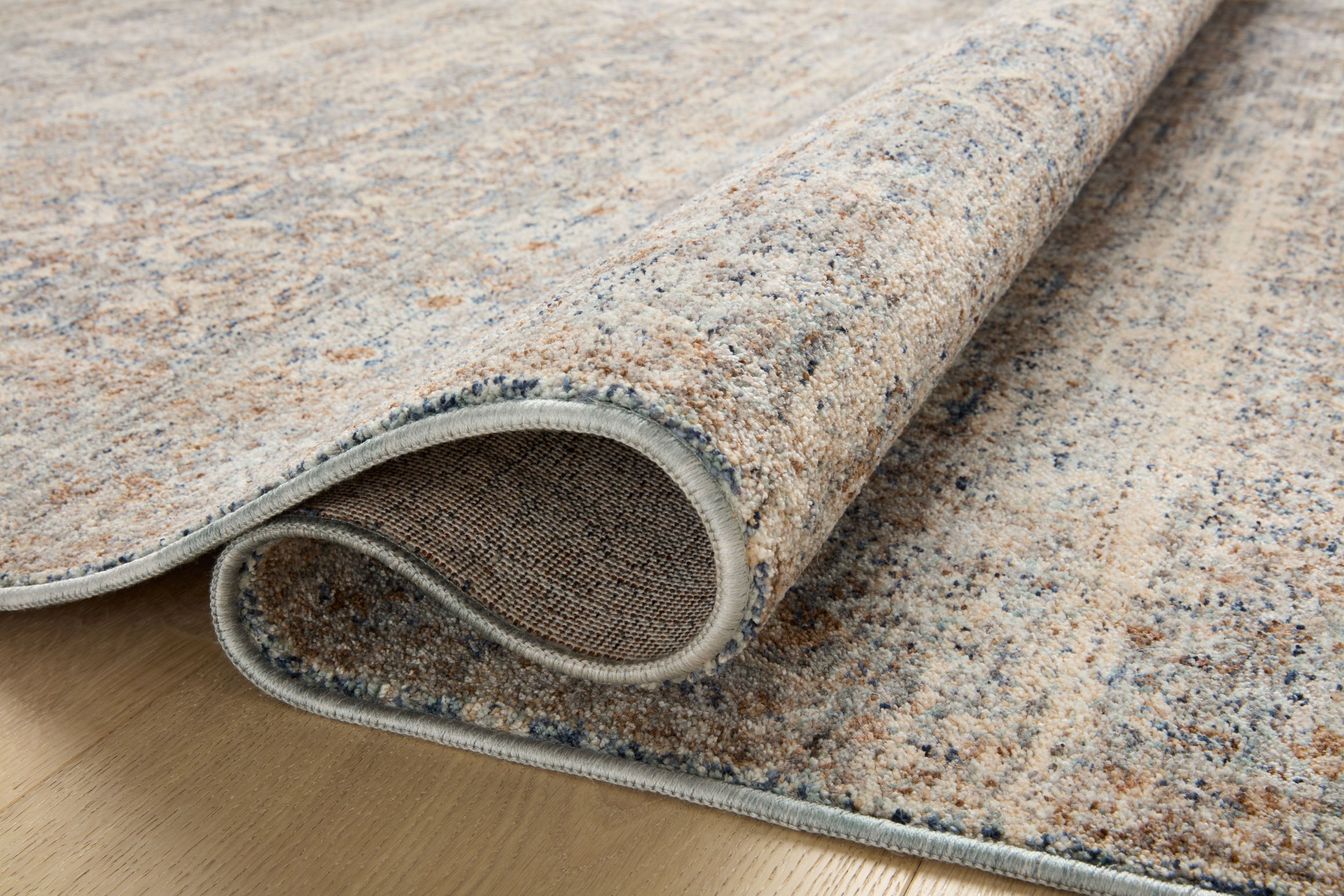 Angela Rose x Loloi Blake Area Rug