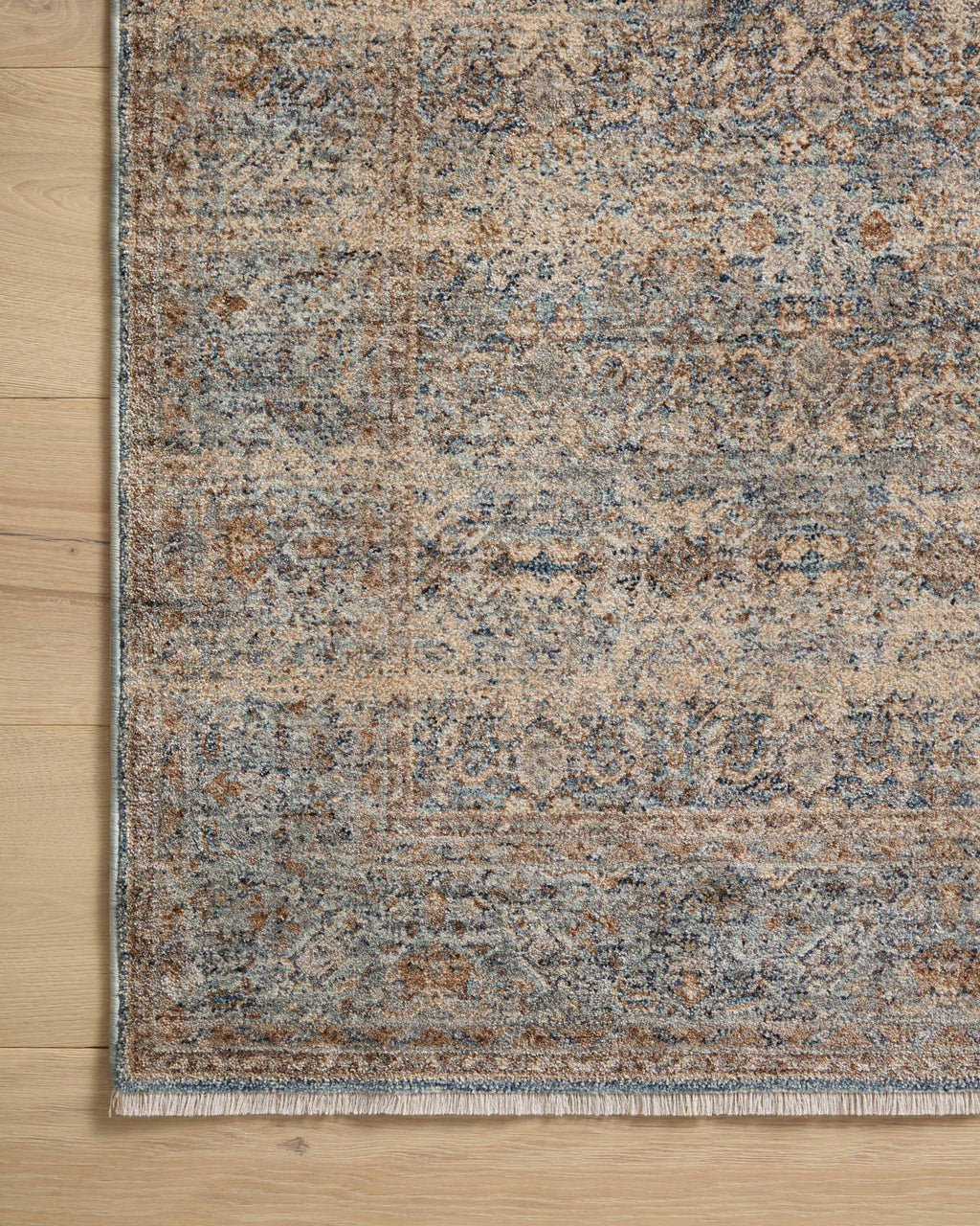 Angela Rose x Loloi Blake Sample Rug