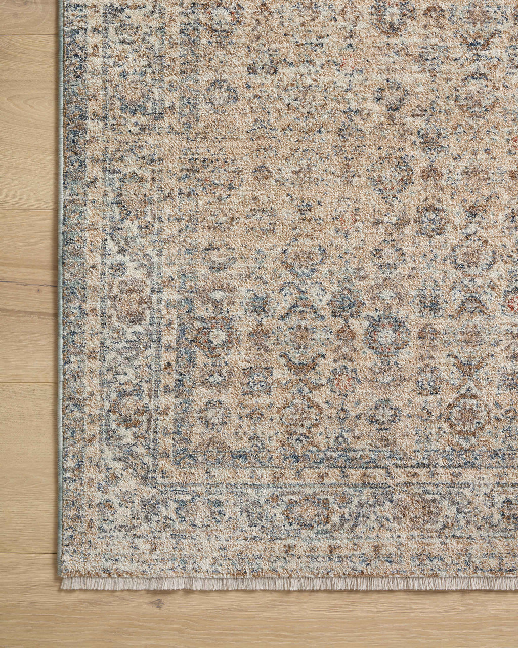 Angela Rose x Loloi Blake Area Rug