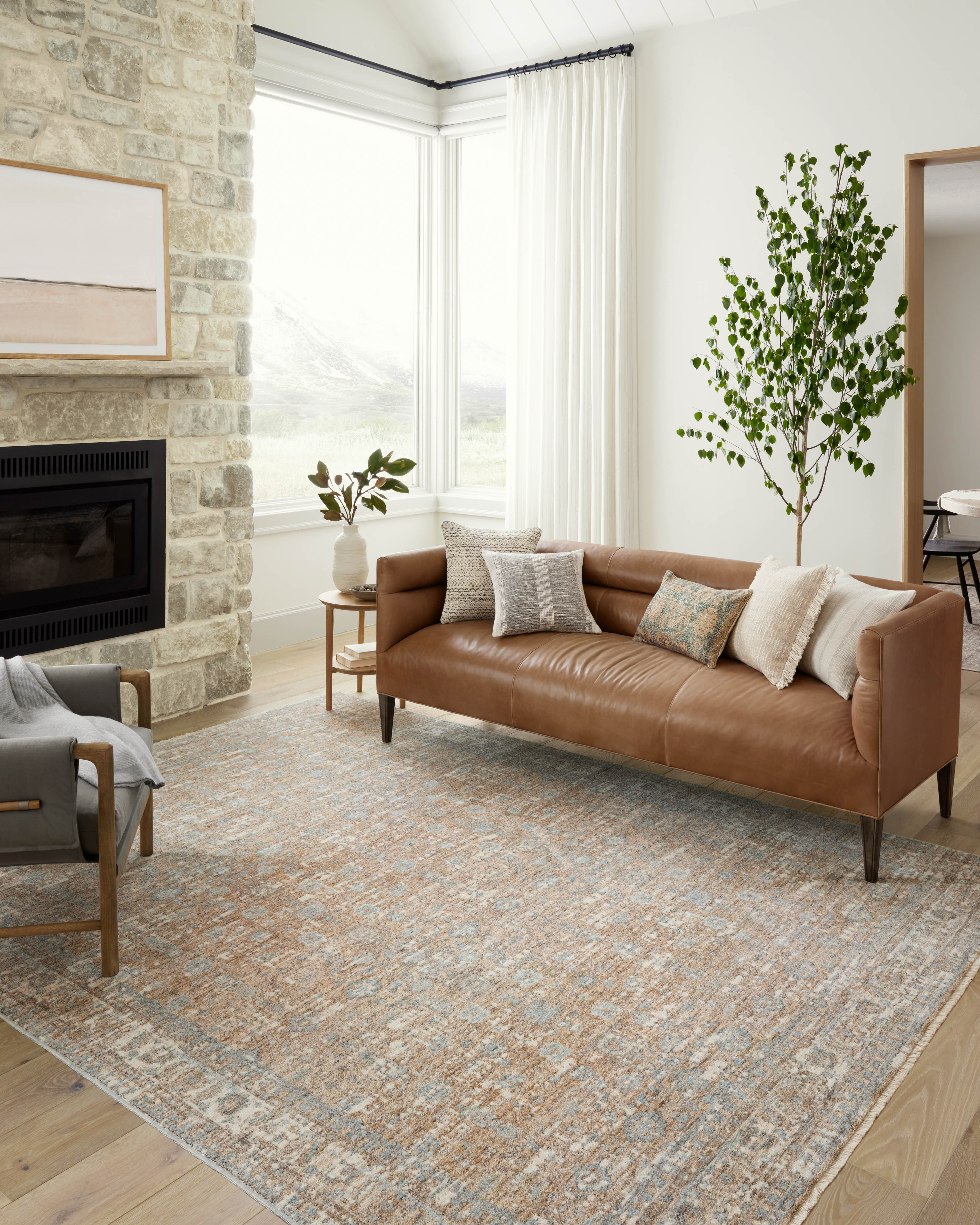 Angela Rose x Loloi Blake Area Rug