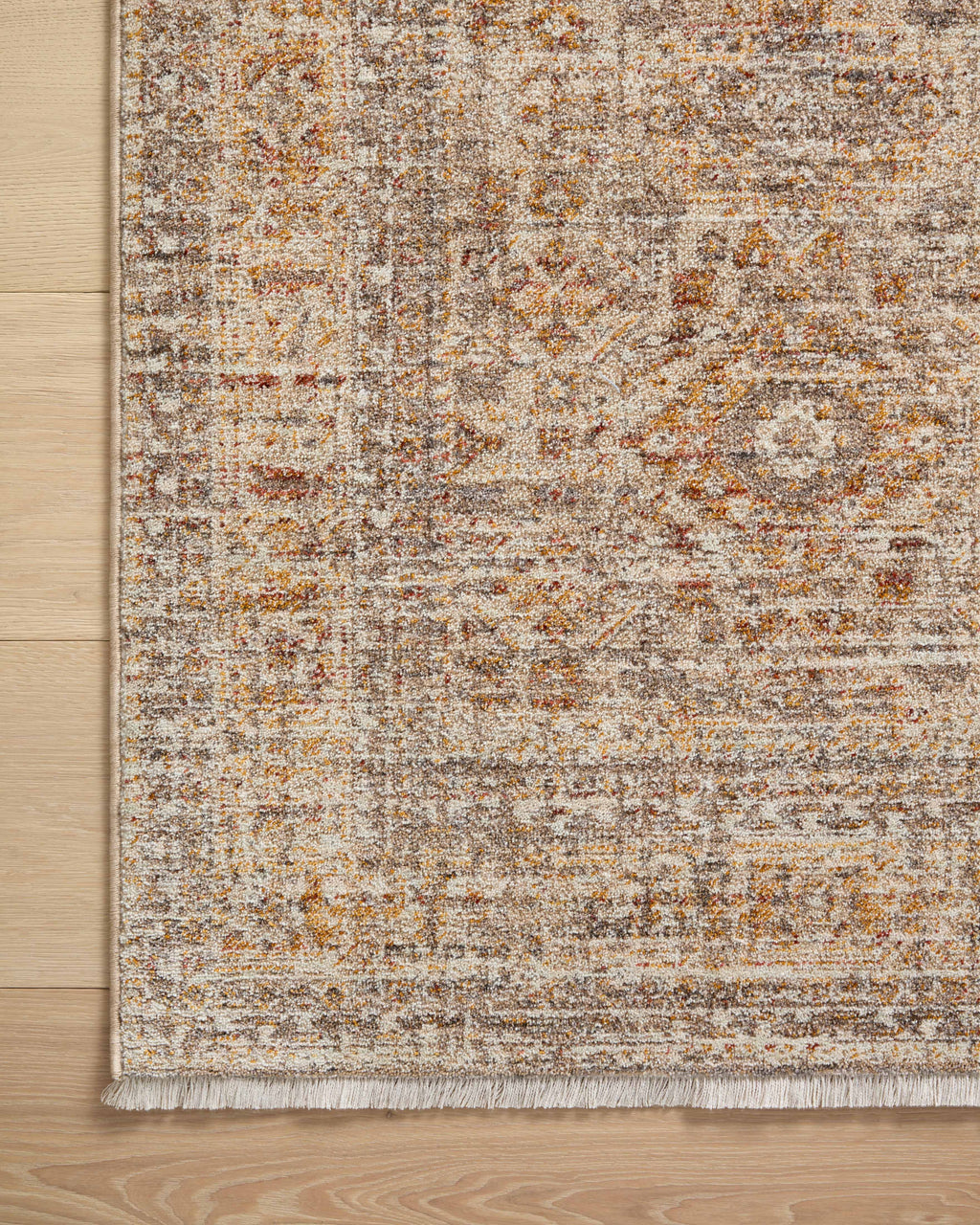 Angela Rose x Loloi Blake Sample Rug