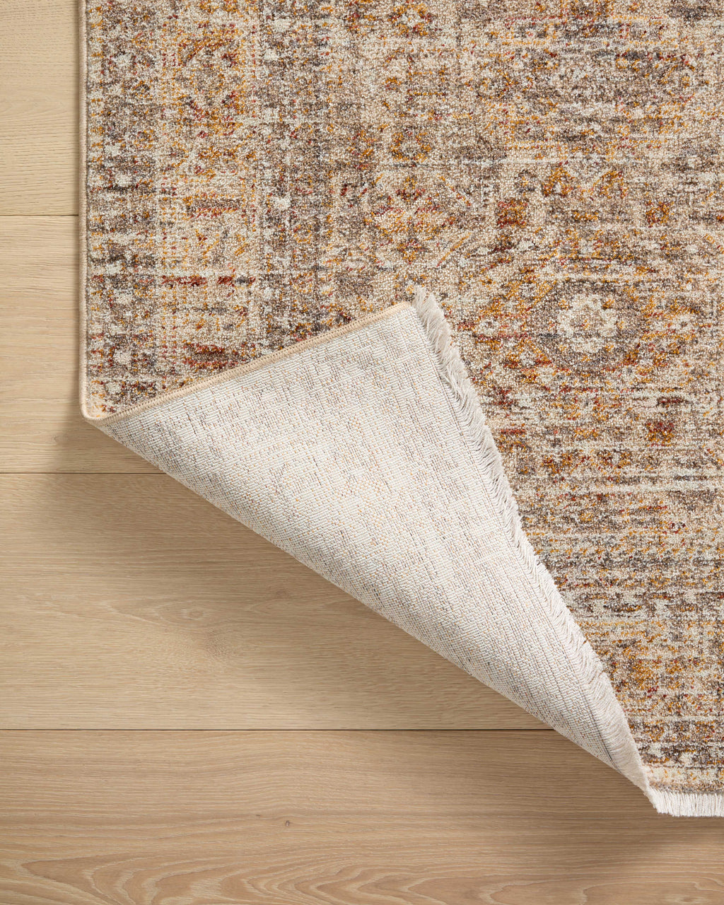 Angela Rose x Loloi Blake Area Rug