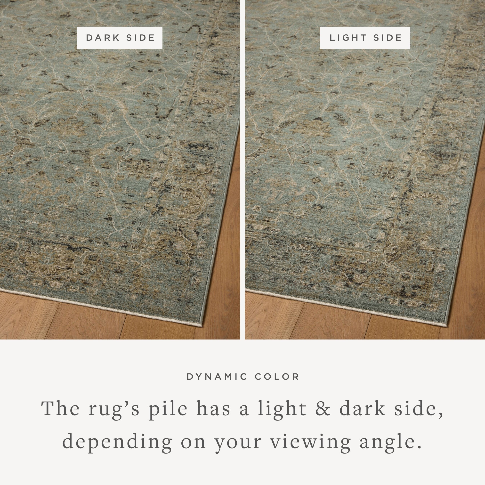 Loloi Briar Area Rug