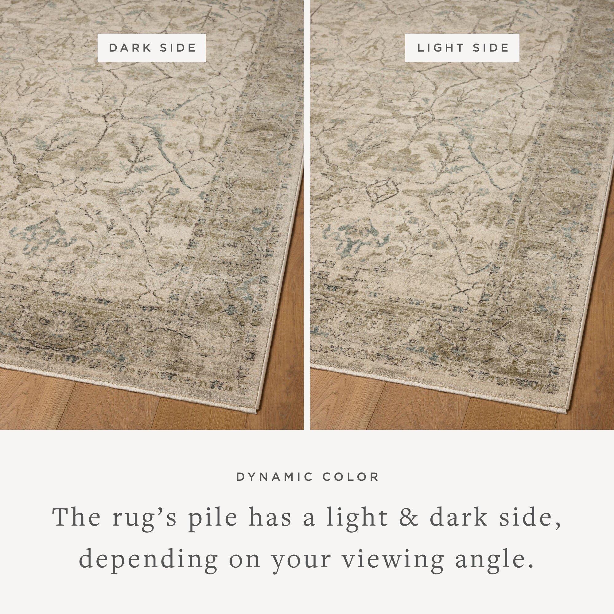 Loloi Briar Sample Rug