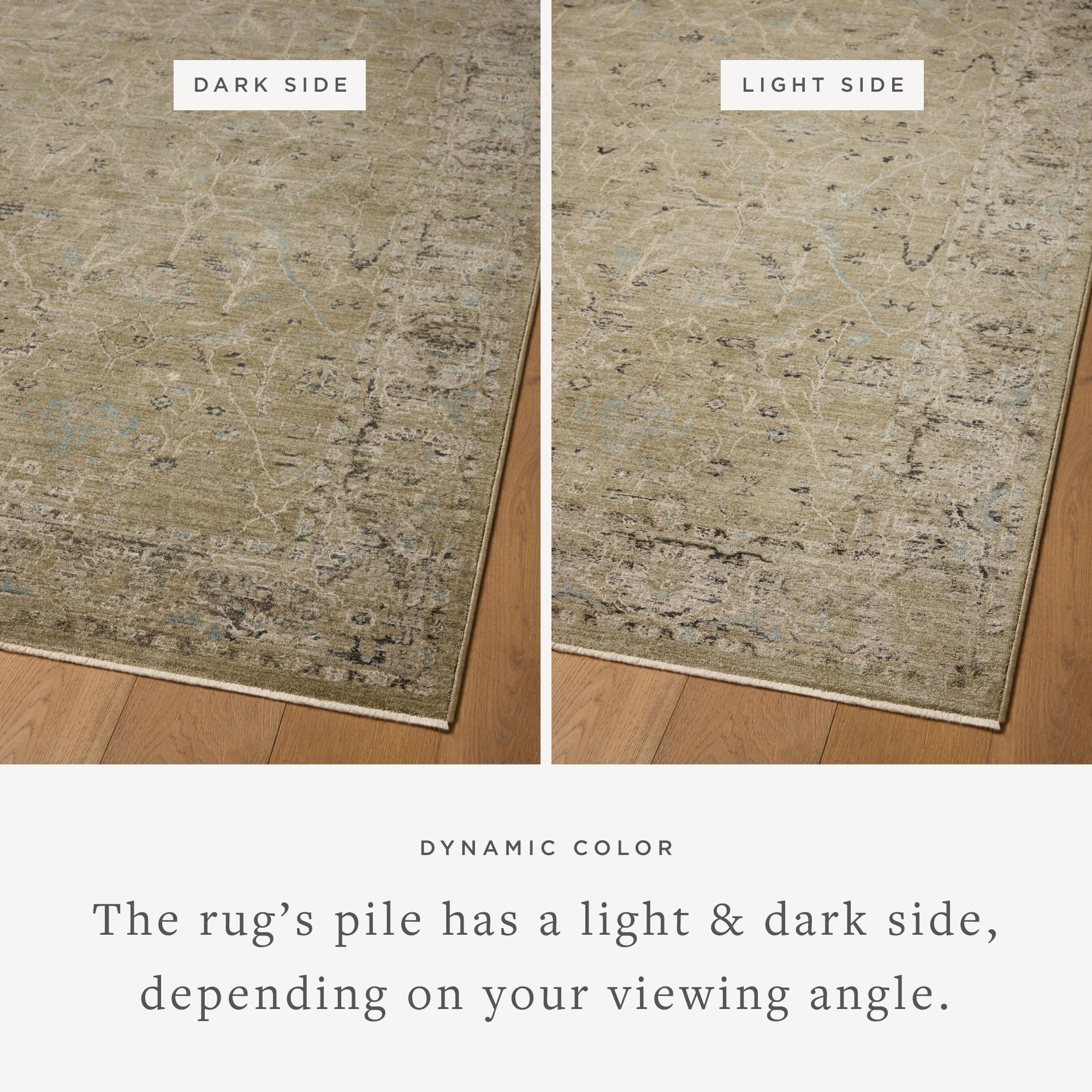Loloi Briar Runner Rug