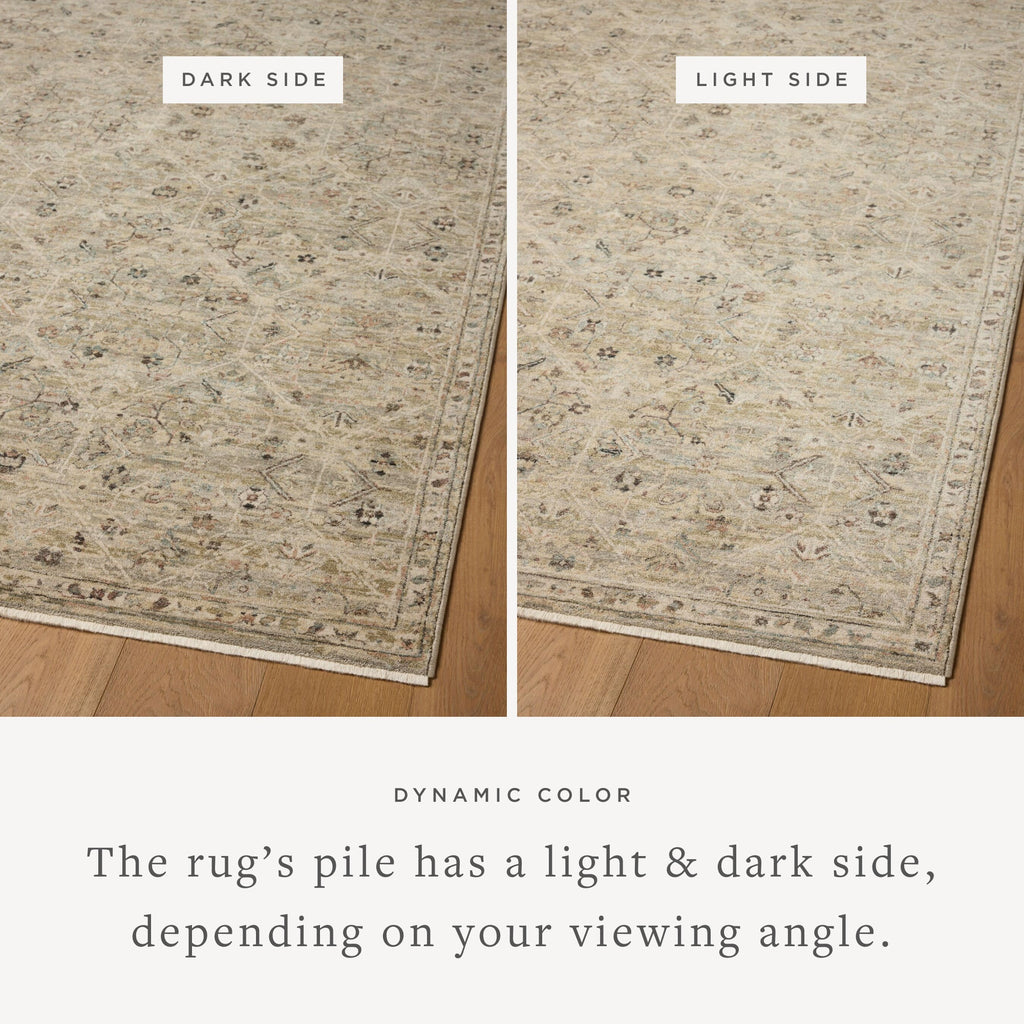 Loloi Briar Area Rug